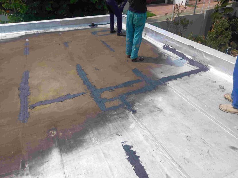 Work by S N ELAND PROJECTS , photo 29
